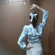 ヒメ日記 2025/06/25 20:06 投稿 れい 奥鉄オクテツ兵庫