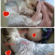 ヒメ日記 2025/07/11 20:14 投稿 れい 奥鉄オクテツ兵庫