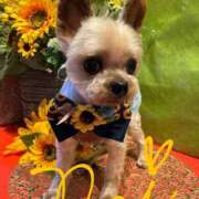 ヒメ日記 2025/07/14 18:51 投稿 れい 奥鉄オクテツ兵庫