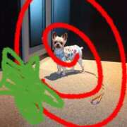 ヒメ日記 2025/08/01 19:41 投稿 れい 奥鉄オクテツ兵庫