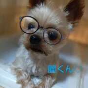 ヒメ日記 2025/09/06 12:31 投稿 れい 奥鉄オクテツ兵庫