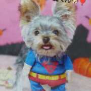 ヒメ日記 2025/10/08 13:58 投稿 れい 奥鉄オクテツ兵庫