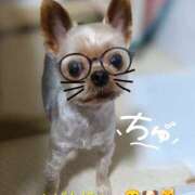 ヒメ日記 2025/10/09 22:07 投稿 れい 奥鉄オクテツ兵庫