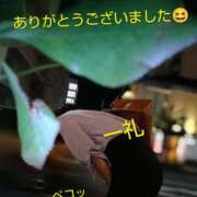 ヒメ日記 2025/10/14 22:15 投稿 れい 奥鉄オクテツ兵庫