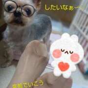 ヒメ日記 2025/10/17 15:54 投稿 れい 奥鉄オクテツ兵庫