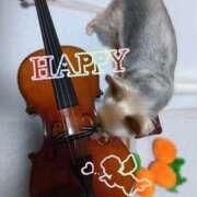 ヒメ日記 2025/10/17 16:54 投稿 れい 奥鉄オクテツ兵庫