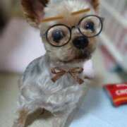 ヒメ日記 2025/10/21 17:10 投稿 れい 奥鉄オクテツ兵庫