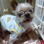 ヒメ日記 2025/10/25 18:28 投稿 れい 奥鉄オクテツ兵庫