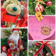 ヒメ日記 2025/12/03 13:53 投稿 れい 奥鉄オクテツ兵庫