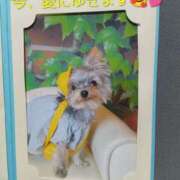 ヒメ日記 2025/12/06 19:10 投稿 れい 奥鉄オクテツ兵庫