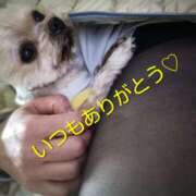 ヒメ日記 2025/12/12 19:34 投稿 れい 奥鉄オクテツ兵庫