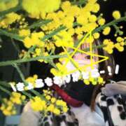 ヒメ日記 2025/12/21 21:42 投稿 れい 奥鉄オクテツ兵庫