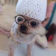 ヒメ日記 2025/12/30 12:44 投稿 れい 奥鉄オクテツ兵庫