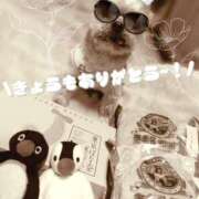 ヒメ日記 2026/01/11 19:11 投稿 れい 奥鉄オクテツ兵庫