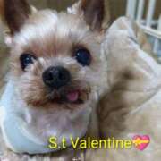 ヒメ日記 2026/02/14 16:37 投稿 れい 奥鉄オクテツ兵庫