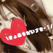 ヒメ日記 2026/02/15 14:34 投稿 れい 奥鉄オクテツ兵庫