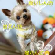 ヒメ日記 2026/02/18 12:54 投稿 れい 奥鉄オクテツ兵庫