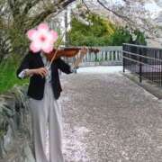 ヒメ日記 2026/03/31 04:04 投稿 れい 奥鉄オクテツ兵庫