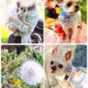 ヒメ日記 2026/04/03 20:55 投稿 れい 奥鉄オクテツ兵庫