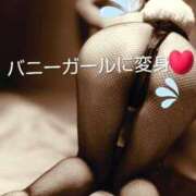 ヒメ日記 2026/04/19 21:13 投稿 れい 奥鉄オクテツ兵庫