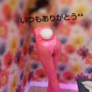 ヒメ日記 2026/06/08 12:08 投稿 れい 奥鉄オクテツ兵庫