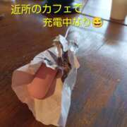 ヒメ日記 2026/07/06 11:30 投稿 れい 奥鉄オクテツ兵庫
