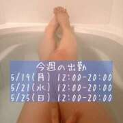 ヒメ日記 2025/05/18 09:51 投稿 小町のの マダムと紳士