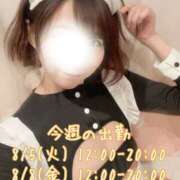 ヒメ日記 2025/08/03 10:21 投稿 小町のの マダムと紳士