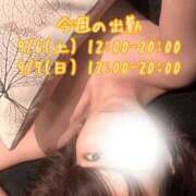 ヒメ日記 2025/08/31 09:41 投稿 小町のの マダムと紳士