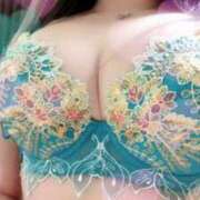 ヒメ日記 2025/03/29 15:07 投稿 るな 桜sakura(名古屋)