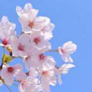 ヒメ日記 2025/04/03 12:49 投稿 真飛 聖 熟女・人妻マダム宮殿