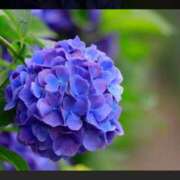 真飛 聖 出勤💕 熟女・人妻マダム宮殿