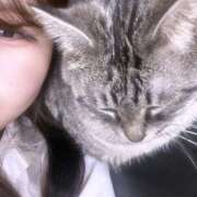 ヒメ日記 2026/02/16 20:38 投稿 うらら 初々しいピチピチ18歳 L＆Jブラザーズ