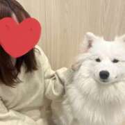 ヒメ日記 2025/01/27 10:07 投稿 まきな ハピネス東京