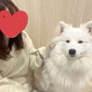 ヒメ日記 2025/02/28 15:06 投稿 まきな ハピネス東京