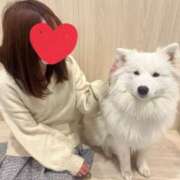 ヒメ日記 2025/04/02 15:17 投稿 まきな ハピネス東京