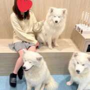 ヒメ日記 2025/04/24 17:27 投稿 まきな ハピネス東京