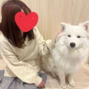 ヒメ日記 2025/04/29 05:48 投稿 まきな ハピネス東京