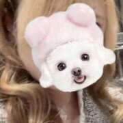 まきな 出勤 ハピネス東京