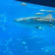 ヒメ日記 2026/08/05 16:37 投稿 まきな ハピネス東京