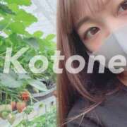 ヒメ日記 2025/04/24 14:19 投稿 ことね ANNEX（アネックス）