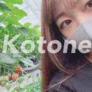 ヒメ日記 2025/04/24 18:02 投稿 ことね ANNEX（アネックス）