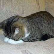 ヒメ日記 2025/02/14 09:47 投稿 美麗(みれい) ロケットワイフ