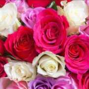 ヒメ日記 2025/02/15 09:00 投稿 美麗(みれい) ロケットワイフ