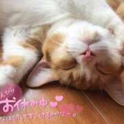 ヒメ日記 2025/11/22 19:04 投稿 美麗(みれい) ロケットワイフ