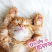 ヒメ日記 2025/11/28 09:29 投稿 美麗(みれい) ロケットワイフ