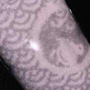 星野　ひより 悪い子にはお尻ぺんぺんだよ Muzerva Wave