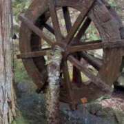 ヒメ日記 2026/02/21 21:26 投稿 星野　ひより Muzerva Wave