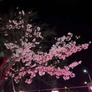 ヒメ日記 2026/04/06 19:16 投稿 星野　ひより Muzerva Wave