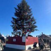 ヒメ日記 2024/12/25 08:25 投稿 かおる ウルトラグレイス24